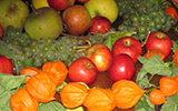 Picture of Harvest fruit